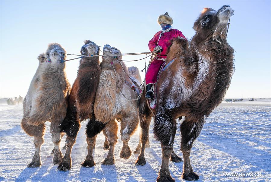 CHINA-INNER MONGOLIA-CAMEL FAIR (CN)