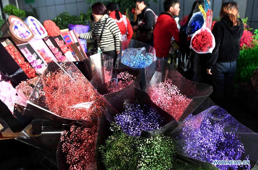 CHINA-YUNNAN-FLOWER INDUSTRY (CN)