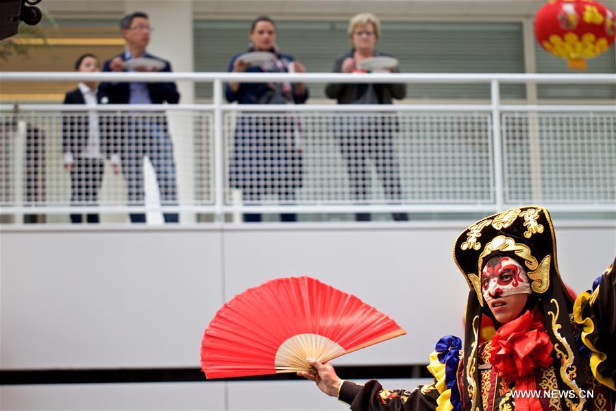 NETHERLANDS-THE HAGUE-CHINESE NEW YEAR-CELEBRATION