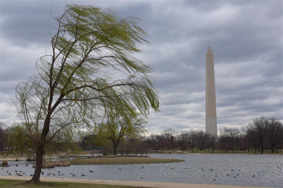 U.S.-WASHINGTON D.C.-WINDSTORM