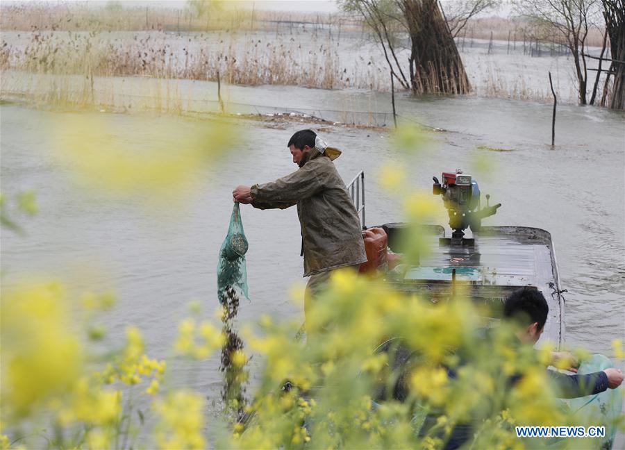 #CHINA-JIANGSU-FISHERY (CN)