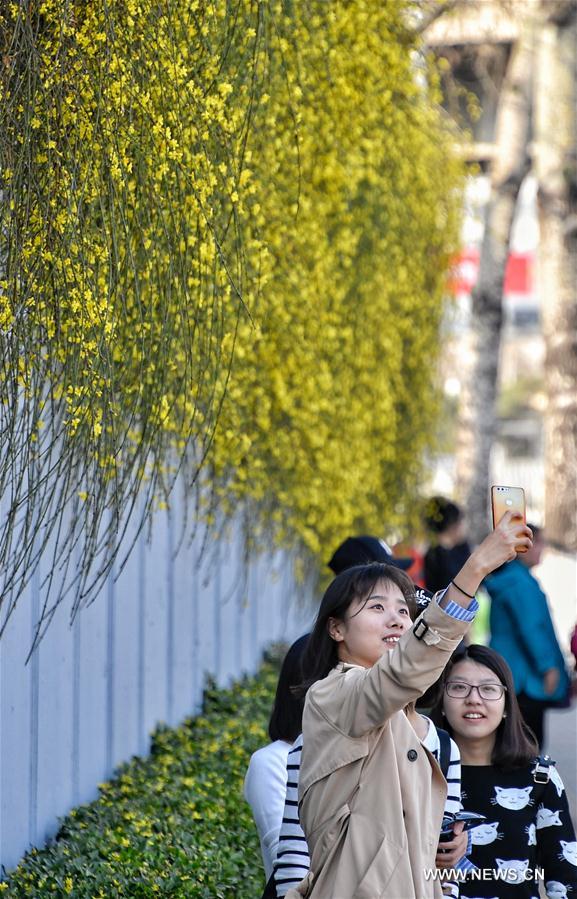 CHINA-BEIJING-FLOWERS (CN)