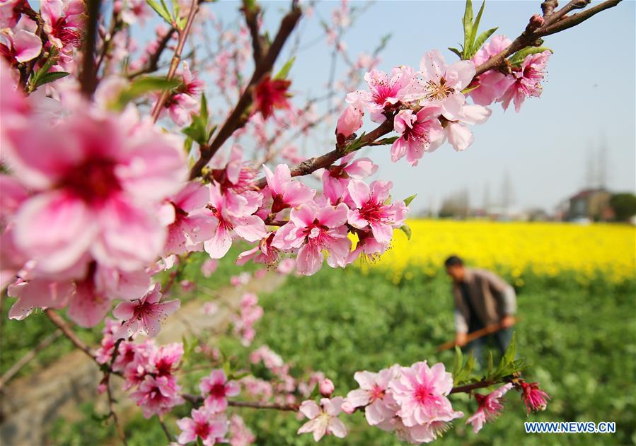 #CHINA-JIANGSU-RURAL SCENERY (CN)