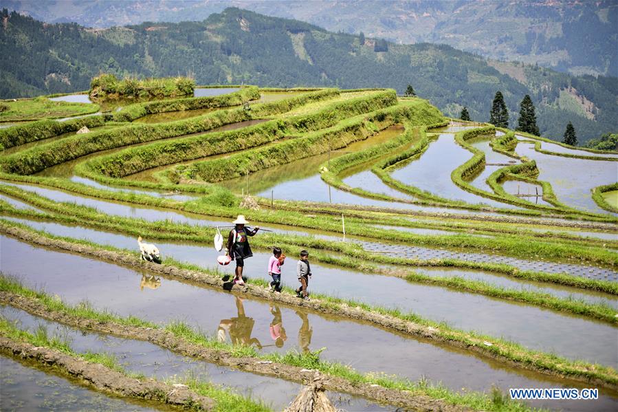 #CHINA-CONGJIANG-TERRACED FIELDS-WORKING(CN)