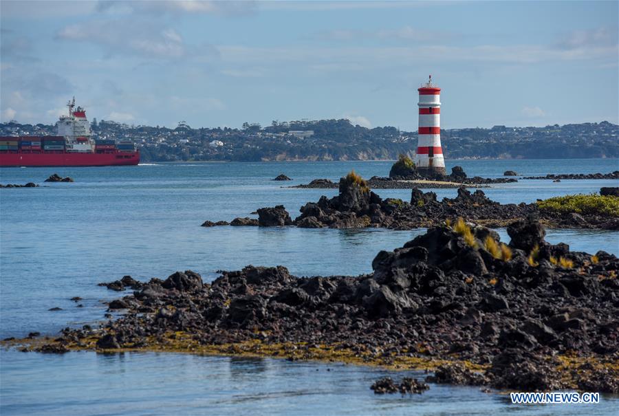 NEW ZEALAND-AUCKLAND-RANGITOTO ISLAND-VOLCANIC ISLAND