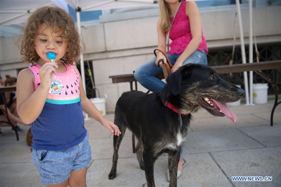 U.S.-WASHINGTON D.C.-DOGS-ADOPTION