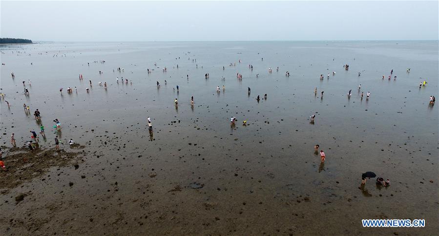 CHINA-HAINAN-QIONGHAI-BEACHCOMBING (CN)