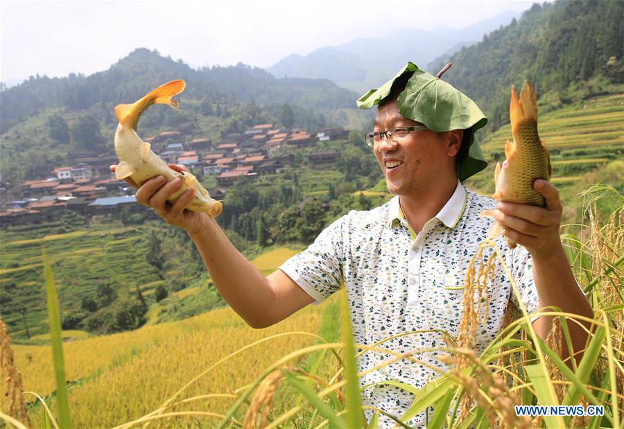 CHINA-GUANGXI-LIUZHOU-HARVEST CELEBRATION (CN)