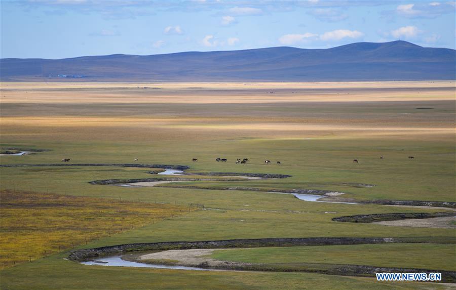 CHINA-INNER MONGOLIA-ULGAI GRASSLAND-SCENERY(CN)