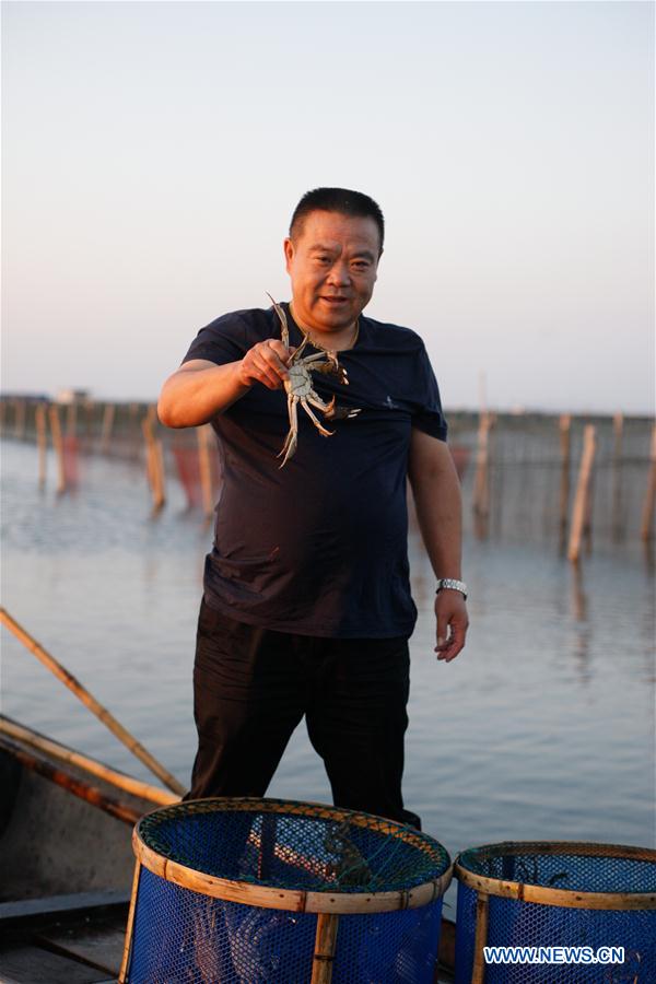 CHINA-JIANGSU-KUNSHAN-HAIRY CRAB CULTIVATOR (CN)