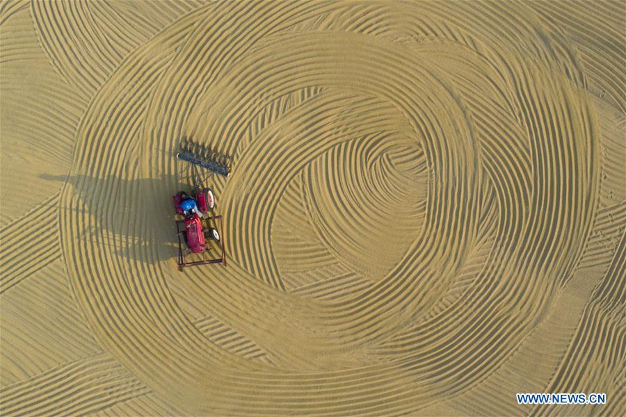 #CHINA-AGRICULTURE-HARVEST (CN)