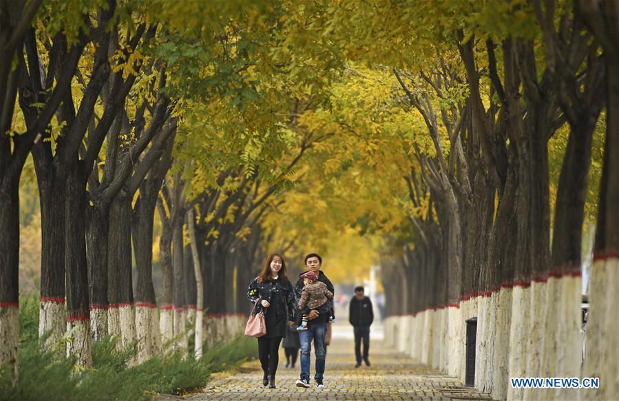 CHINA-YINCHUAN-AUTUMN SCENERY (CN)