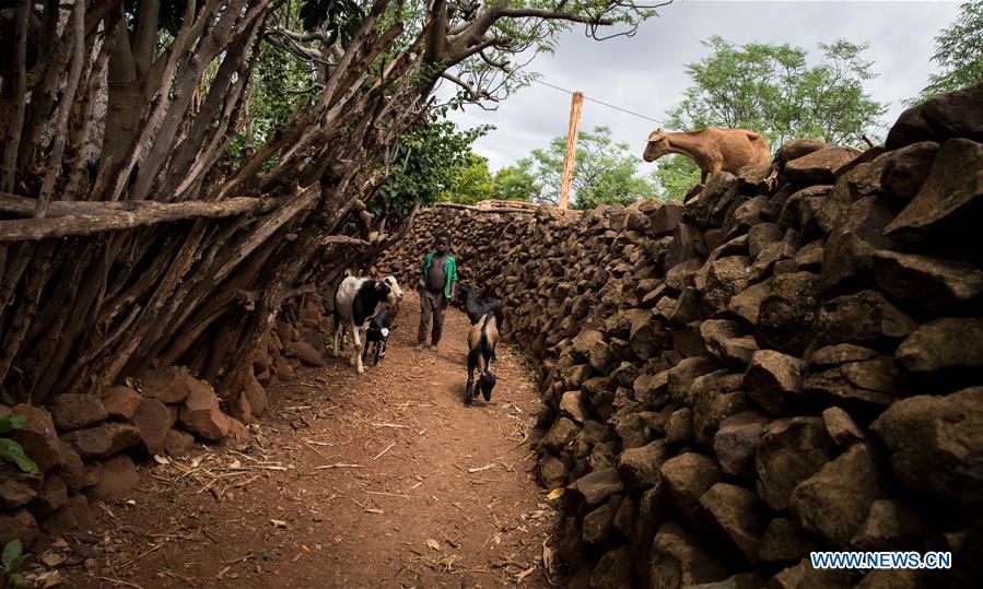 ETHIOPIA-SOUTHERN REGIONAL STATE-PRIMITIVE TRIBE-KONSO