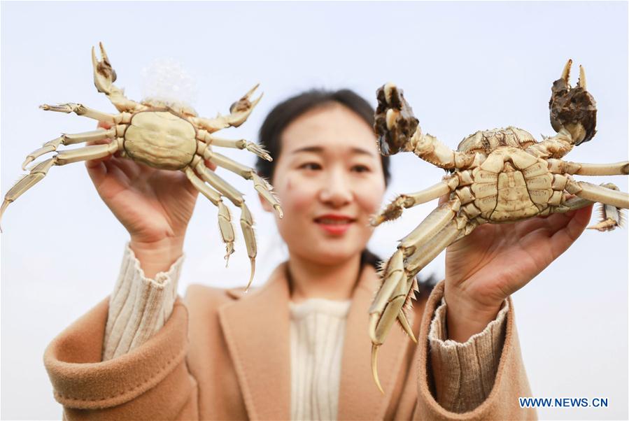 #CHINA-JIANGSU-HONGZE LAKE-CRAB-HARVEST (CN) 