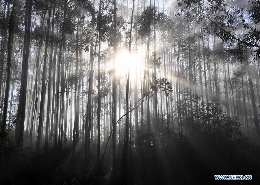 CHINA-YUNNAN-LANCANG-SCENERY (CN)