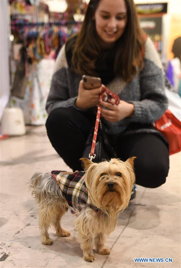 PORTUGAL-LISBON-PET SHOW