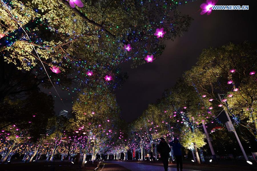 CHINA-NANCHANG-SPRING FESTIVAL-FANCY LANTERNS (CN)