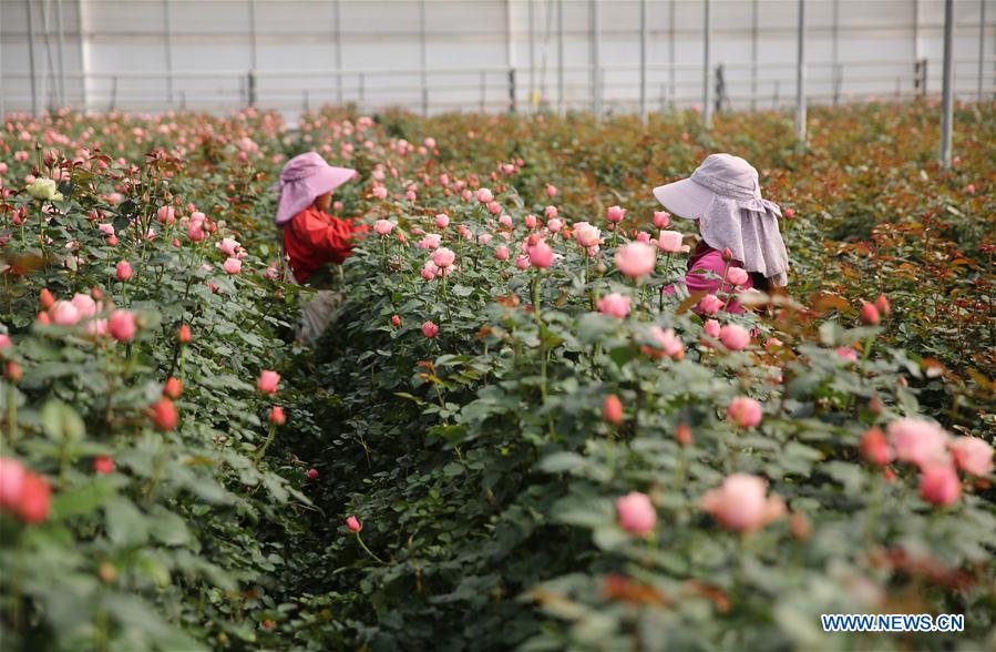 #CHINA-EARLY SPRING-AGRICULTURE (CN) 