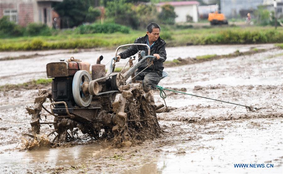 CHINA-GUANGXI-QINZHOU-SPRING SOWING (CN)