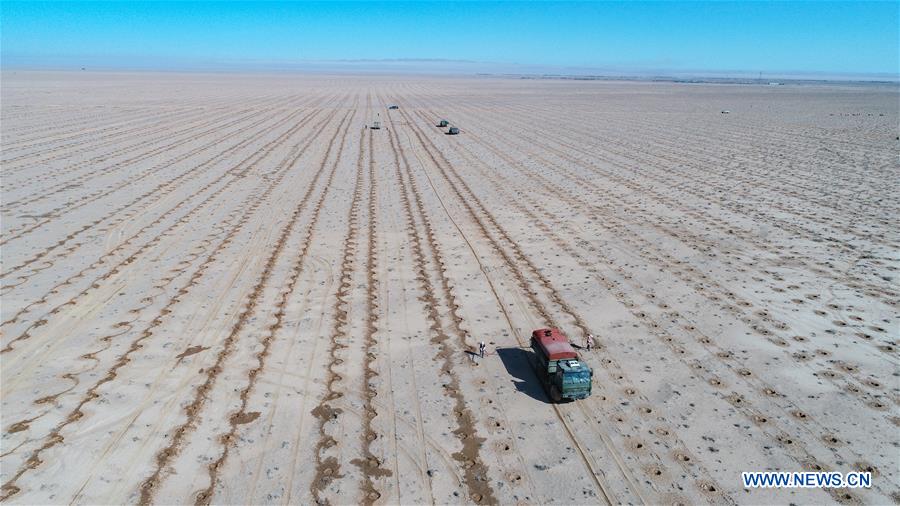 CHINA-INNER MONGOLIA-DESERT-GREENING (CN)