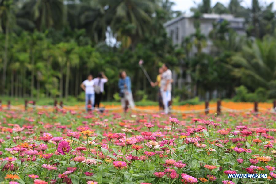 CHINA-QIONGHAI-RURAL DEVELOPMENT (CN)