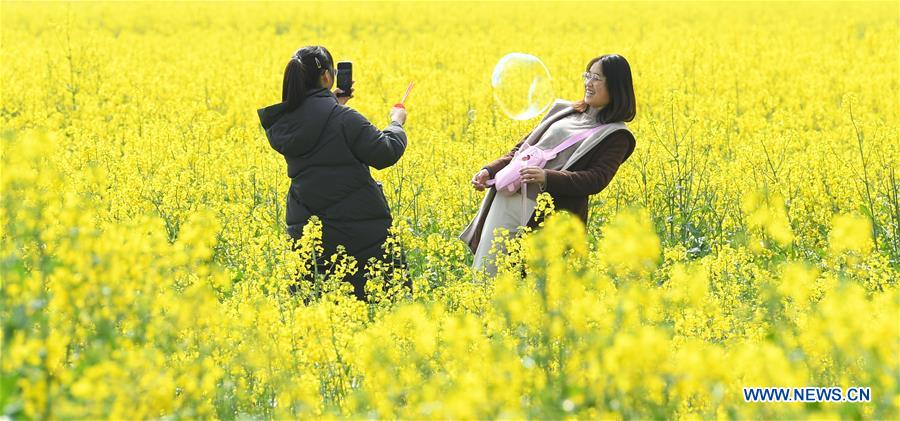 CHINA-ZHEJIANG-COLE FLOWERS (CN)