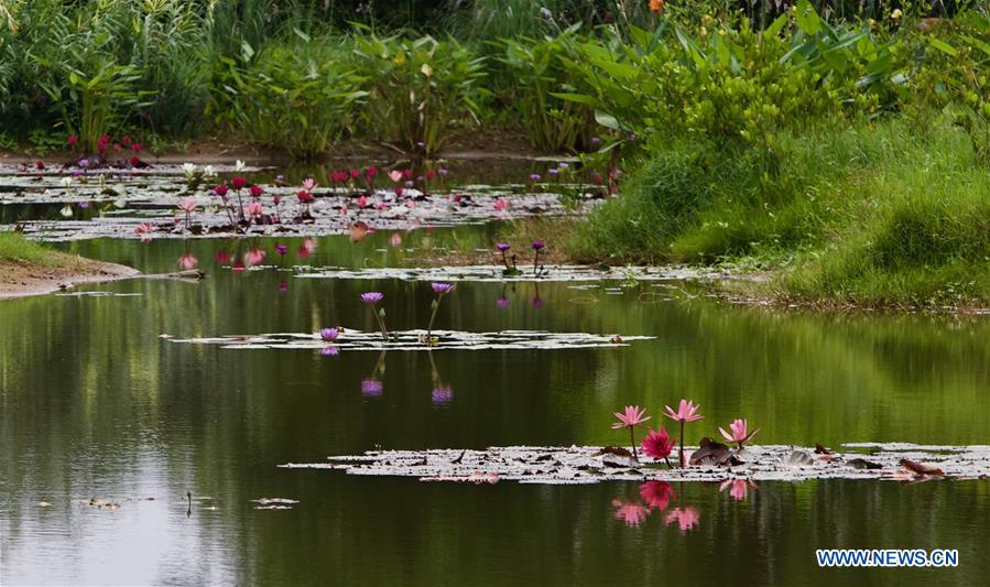 CHINA-BOAO-VILLAGE-SPRING SCENERY (CN)