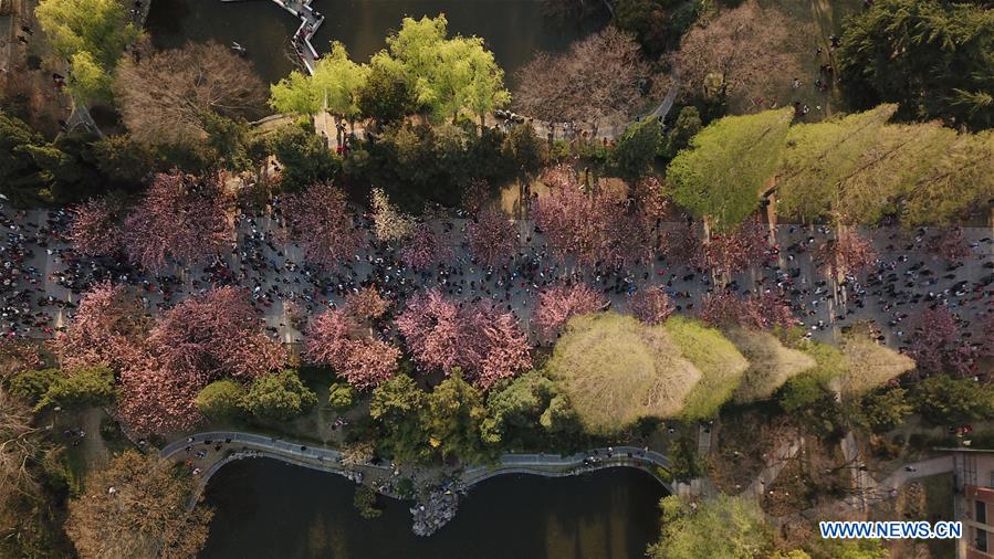 XINHUA PHOTOS OF THE DAY