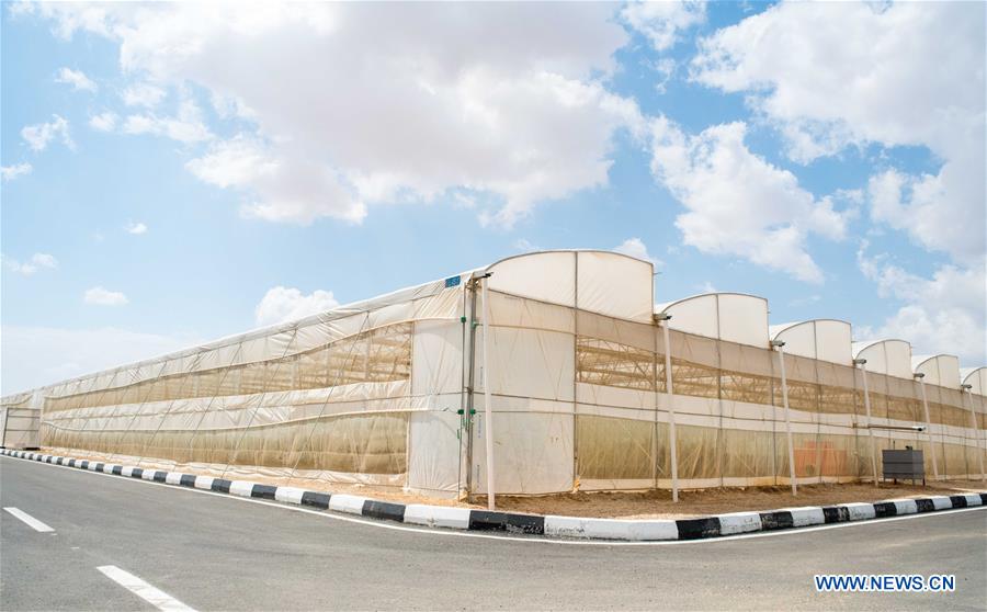 EGYPT-SHARQIYA-CHINA-PROJECT-GREENHOUSE TECHNOLOGY