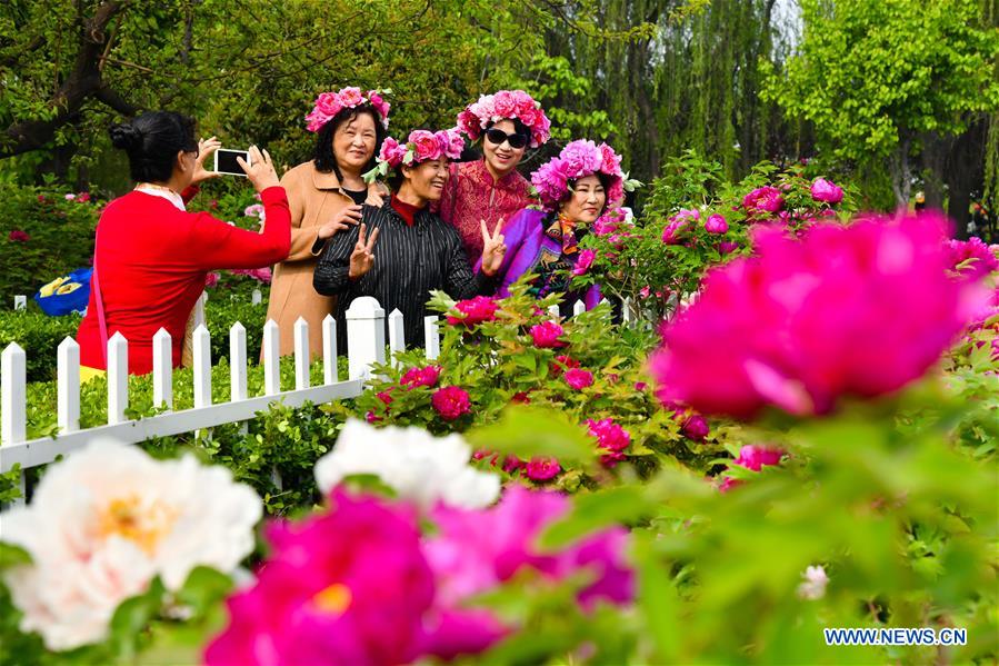 CHINA-SHANDONG-HEZE-PEONY-FLOWERS (CN)