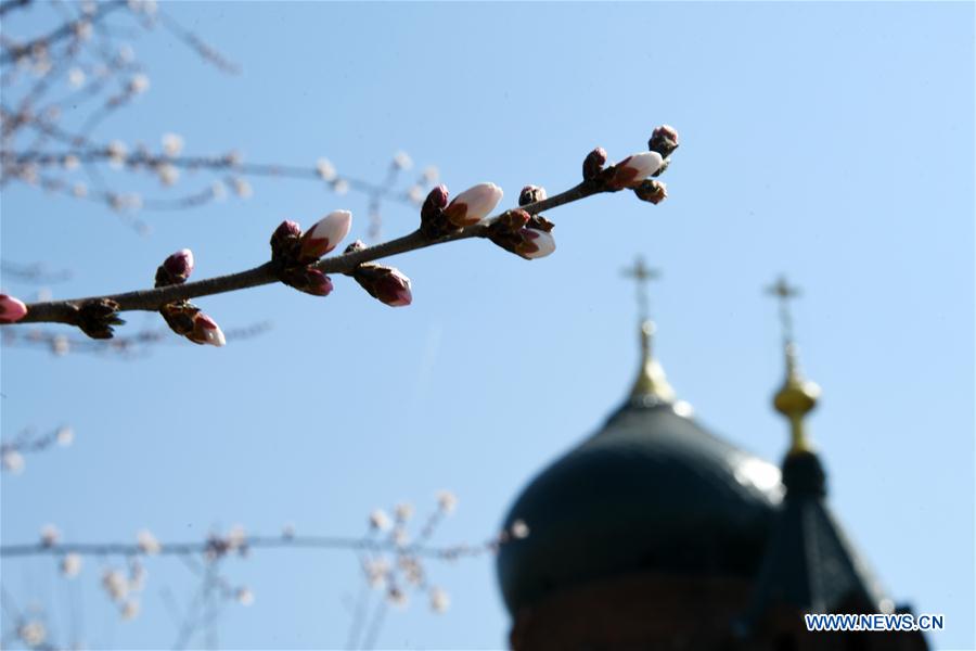 CHINA-HARBIN-SPRING (CN)