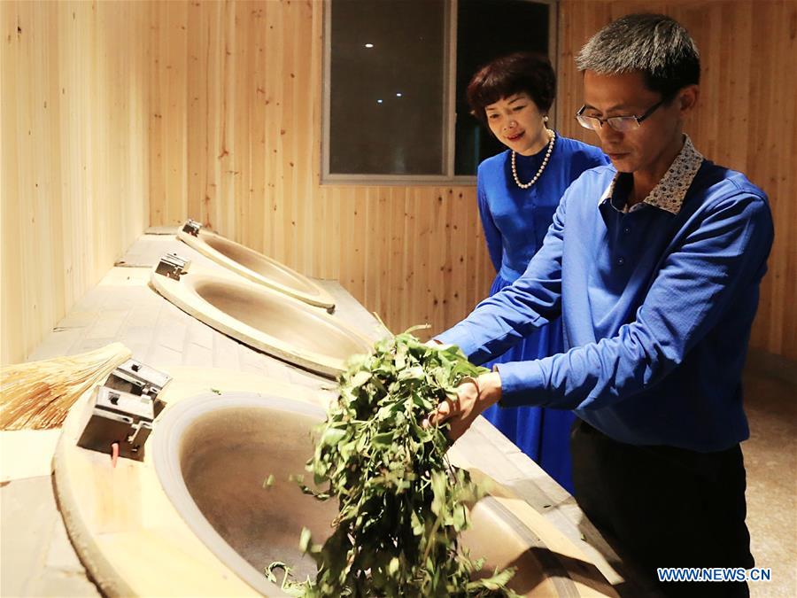 Xinhua Headlines: Technology counselors aid poverty alleviation 