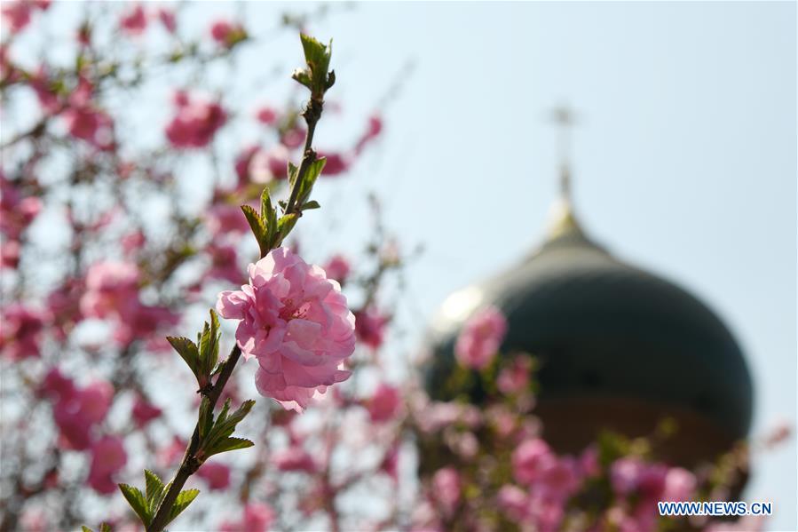 CHINA-HEILONGJIANG-HARBIN-CATHEDRAL (CN)