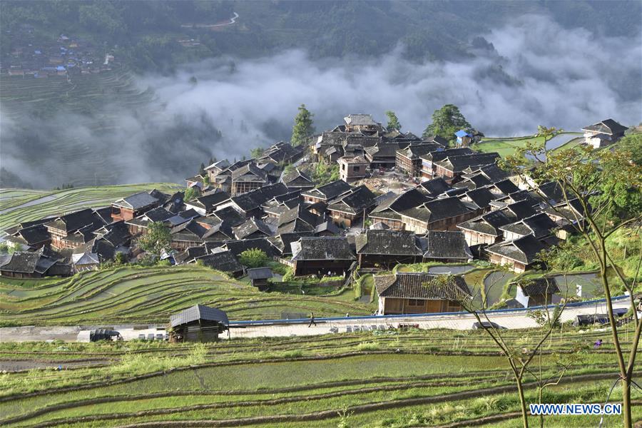 #CHINA-GUIZHOU-TERRACED FIELDS (CN)