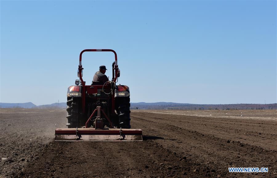 #CHINA-ECONOMY-FARMING (CN)