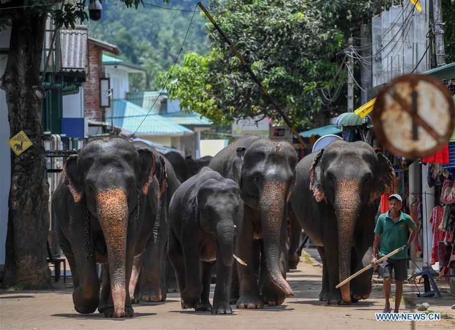 SRI LANKA-SCENERY-DAILY LIFE