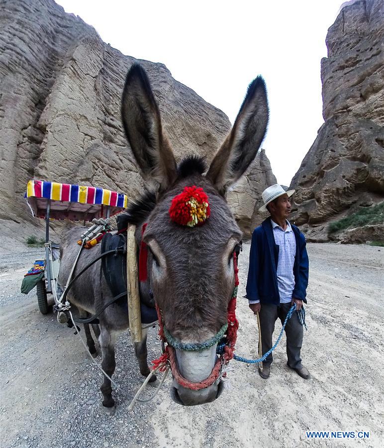 CHINA-GANSU-JINGTAI-DONKEY RIDE-BUSINESS (CN)