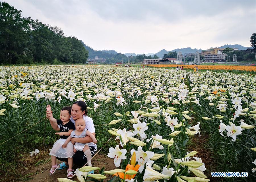 CHINA-GUIZHOU-TAIJIANG-LILY FLOWERS (CN)