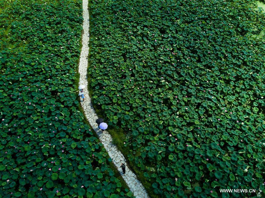 (EcoChina) CHINA-BEIJING-HORTICULTURAL EXPO-FUJIAN (CN)