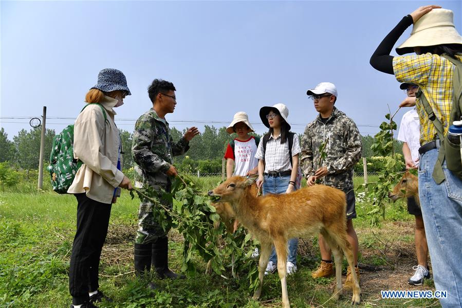 CHINA-JIANGSU-MILU NATIONAL NATURE RESERVE-POPULATION-GROWTH (CN)