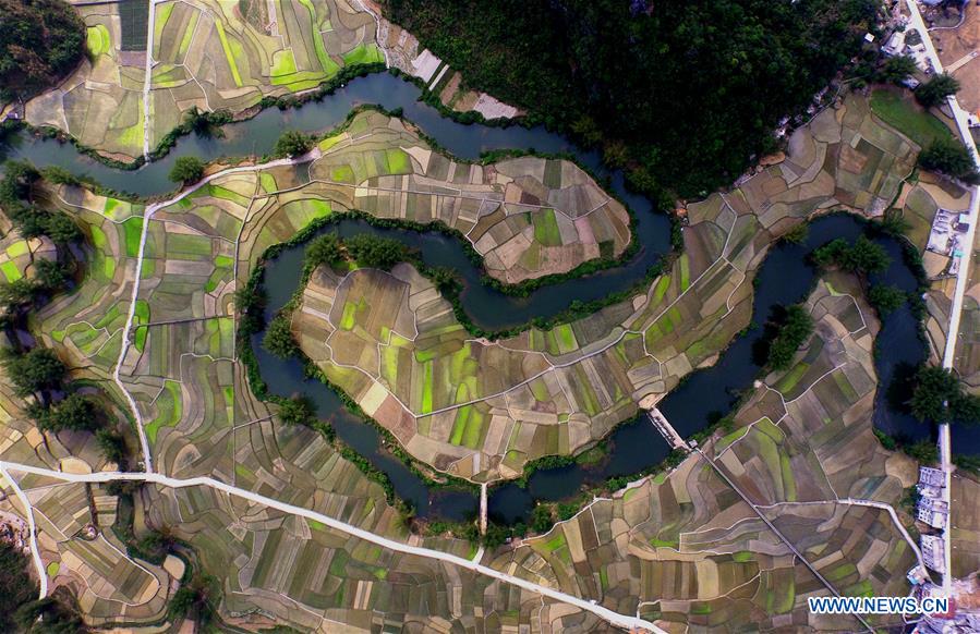 (EcoChina)CHINA-HORTICULTURAL EXPO-GUANGXI (CN)