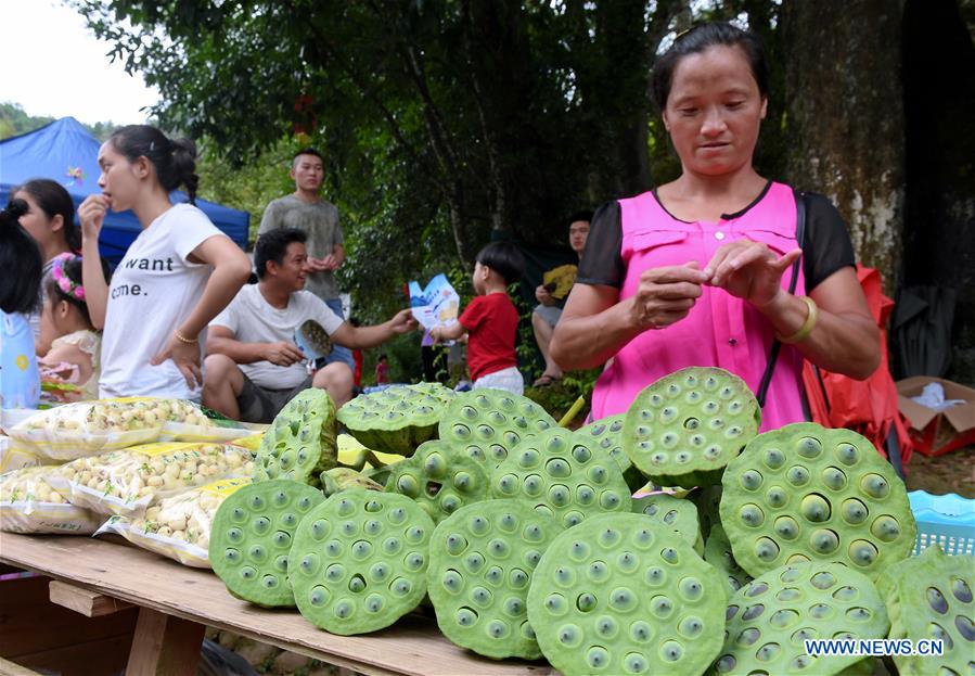 CHINA-FUJIAN-WUYISHAN-LOTUS FESTIVAL (CN)