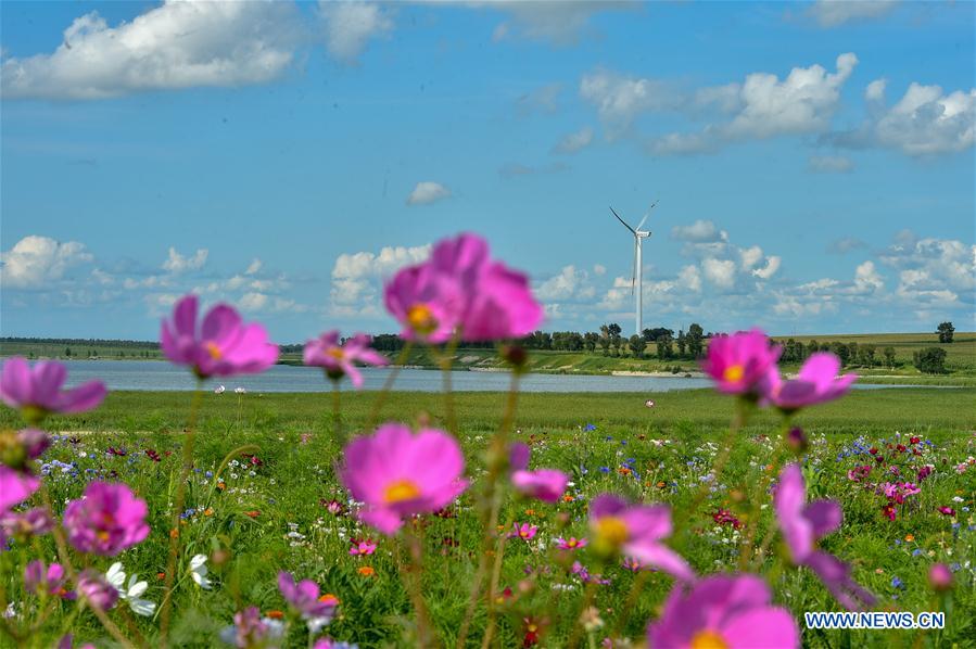 CHINA-JILIN-CHANGCHUN-CHAGAN LAKE(CN)