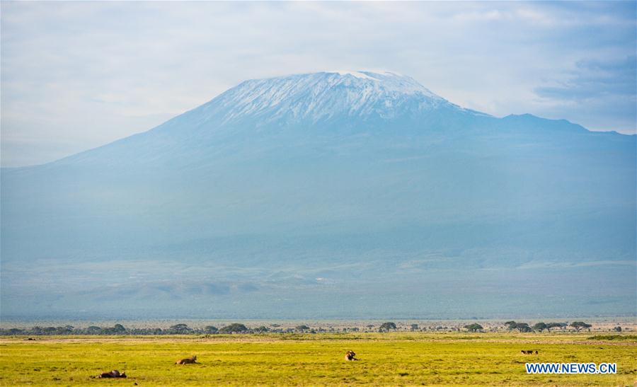 KENYA-ECOLOGY-CHINA-BEIJING-HORTICULTURAL EXPO-KENYA DAY 