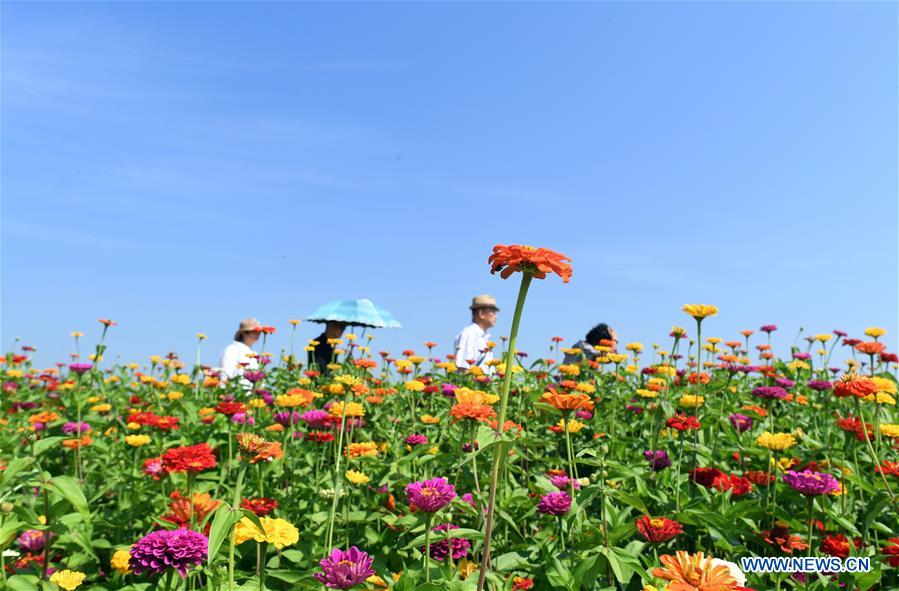 CHINA-JILIN-CHANGCHUN-FLOWERS (CN)