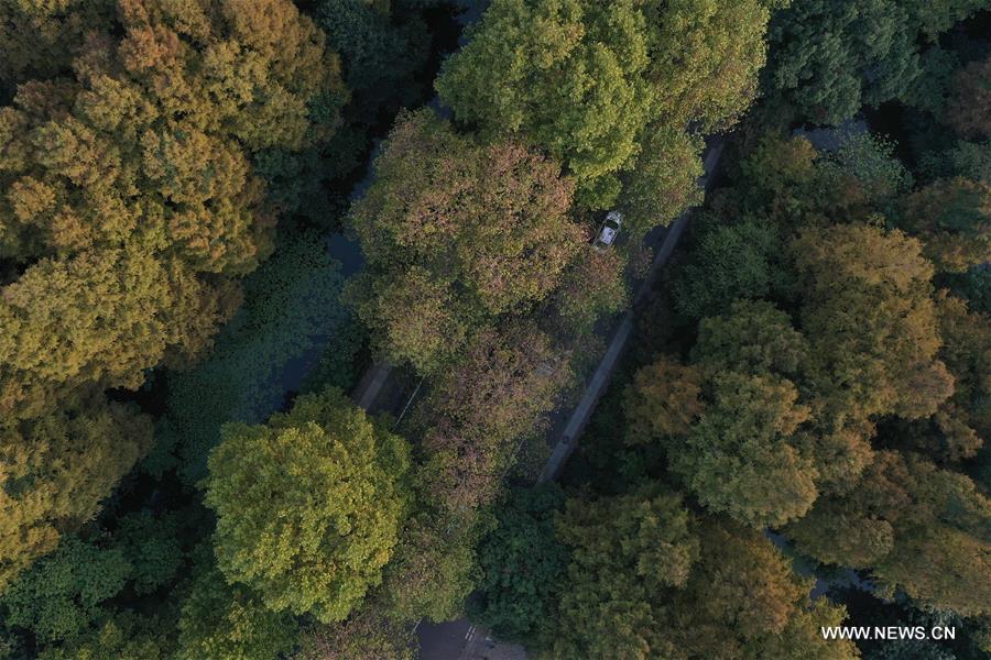 CHINA-HANGZHOU-WEST LAKE-AUTUMN-SCENERY (CN)