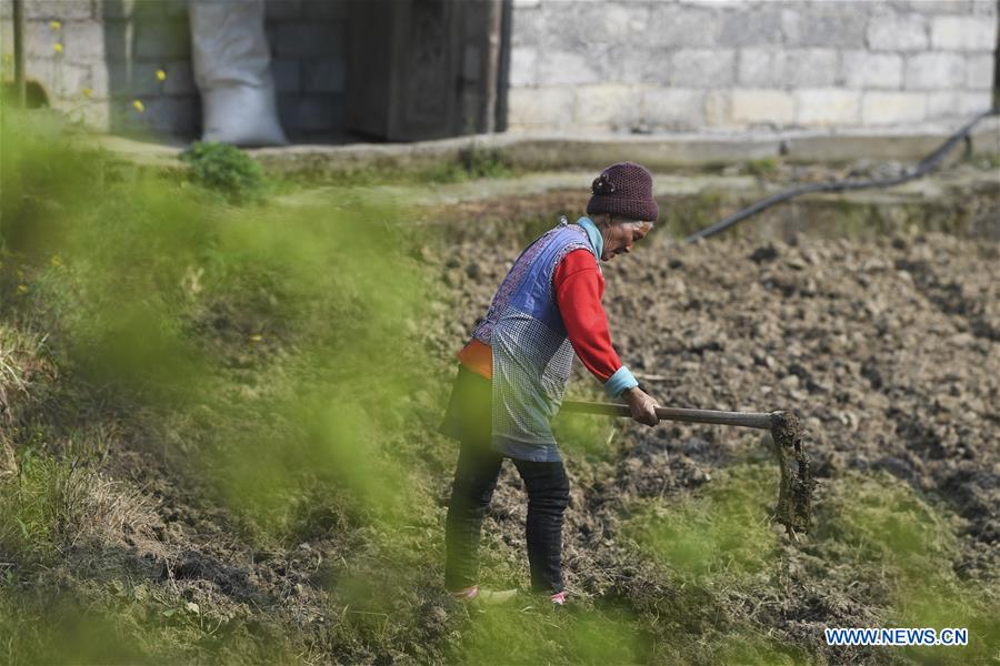 CHINA-CHONGQING-SPRING-FARMING (CN)