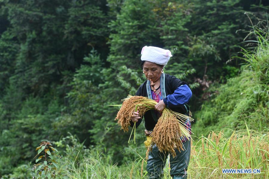 CHINA-GUANGXI-RONGSHUI-RURAL LIFE (CN)