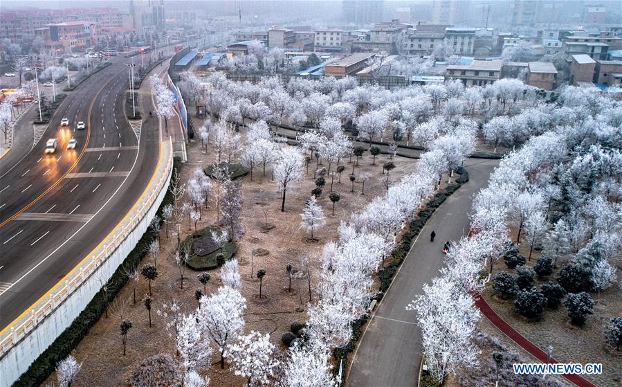 #CHINA-SHANXI-YUNCHENG-RIME SCENERY (CN)