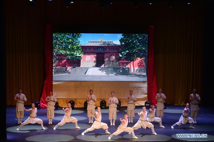 LAOS-VIENTIANE-NIGHT OF CHINESE CULTURE AND TOURISM